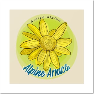 Alpine Arnica Posters and Art